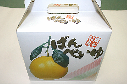 晩白柚３Ｌサイズ１個入りの箱
