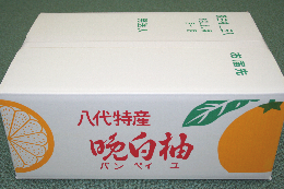 晩白柚Ｍサイズ５個入りの箱